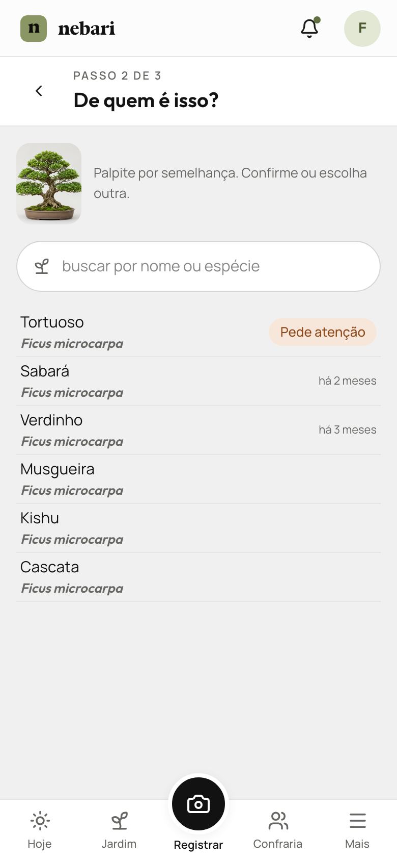 Tela Registrar no celular: passo 2 de 3, "De quem é isso?", com a foto da árvore em cima e a lista das árvores, a primeira marcada como pedindo atenção