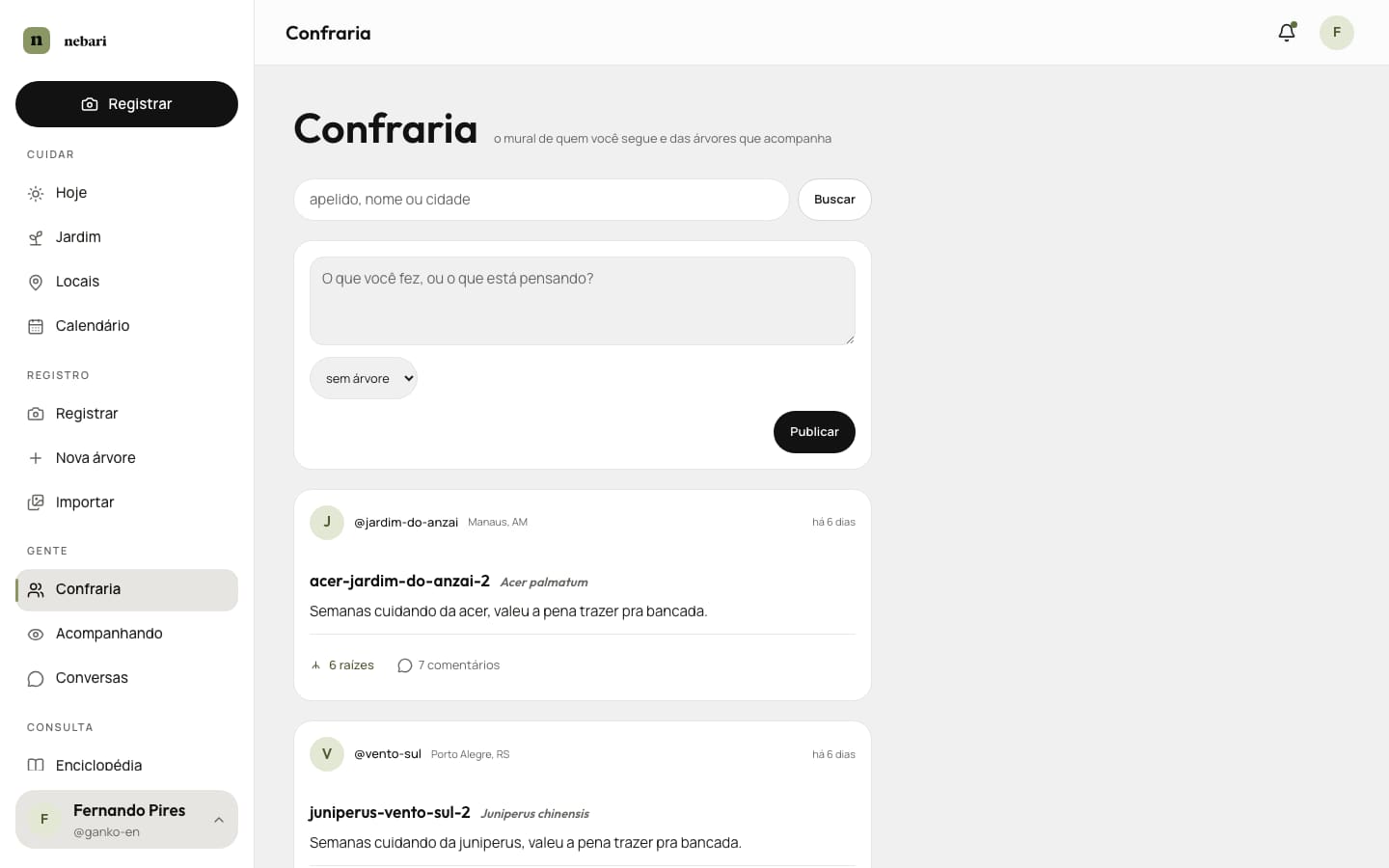 Tela Confraria do Nebari, com a caixa para publicar e as publicações de quem você segue