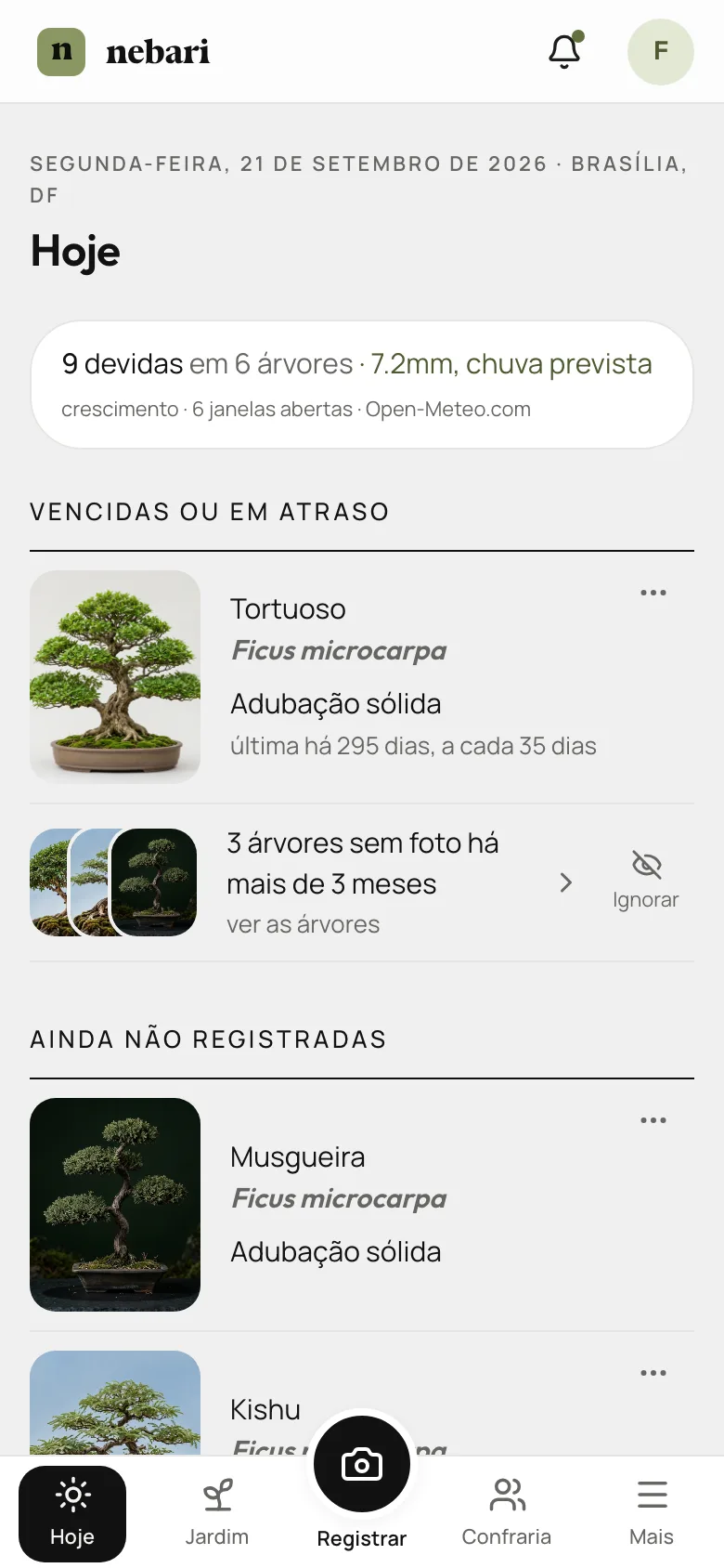 Tela Hoje do Nebari no celular: manejos devidos nas árvores, chuva prevista e a orientação do dia