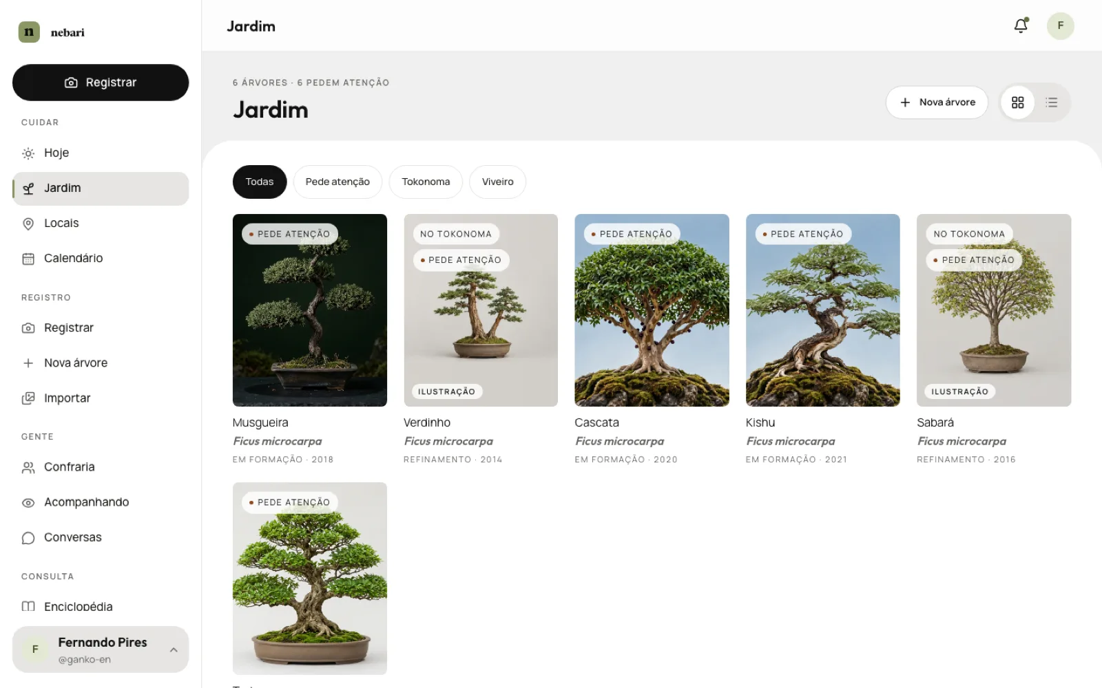 Jardim do Nebari no computador, com as árvores em grade